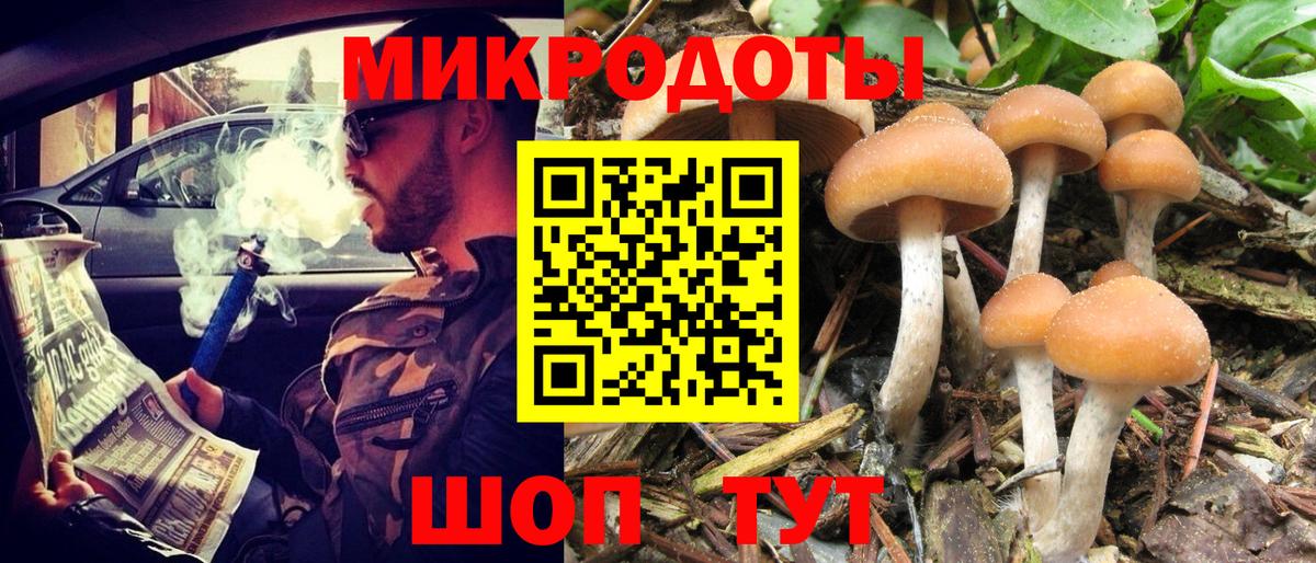Псилоцибиновые грибы Cubensis Артёмовский